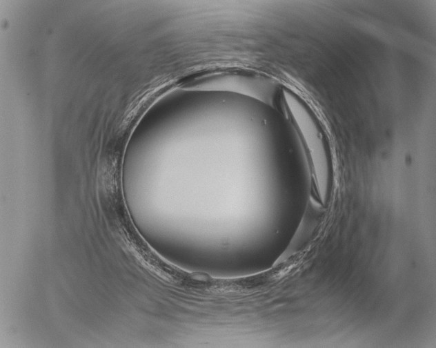 X0000053010105200507291718