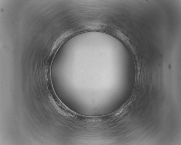 X0000053010106200507291718