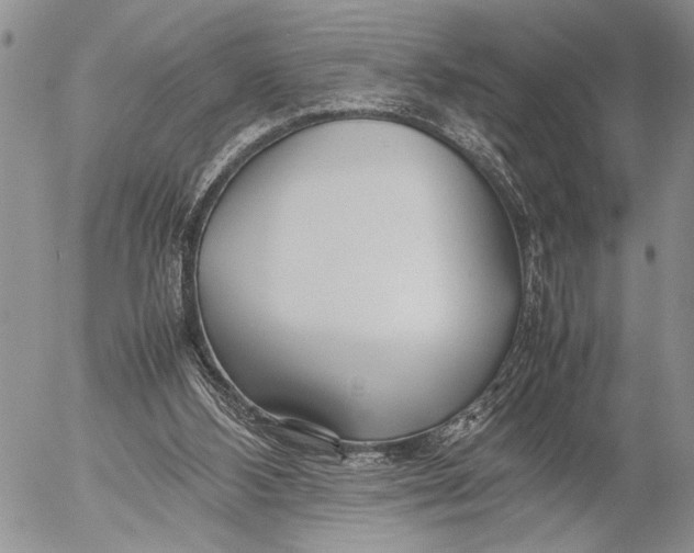 X0000053010108200507291718