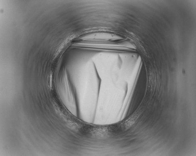 X0000053010110200507291718