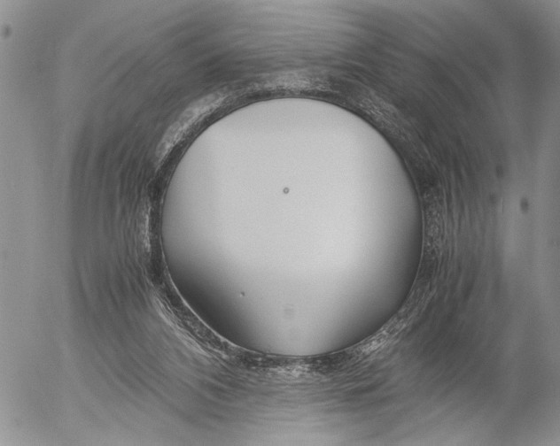 X0000053010112200507291718