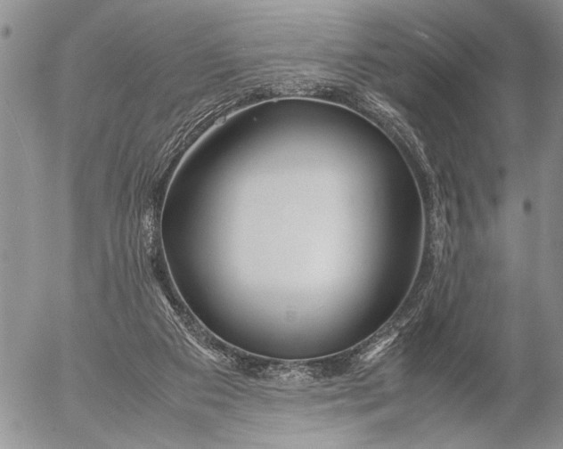 X0000053010113200507291718