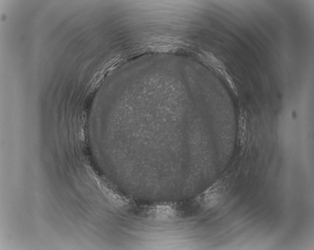 X0000053010114200507291718