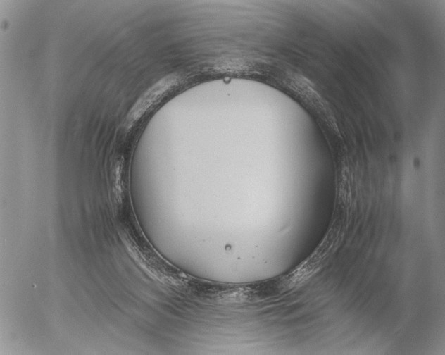 X0000053010116200507291718