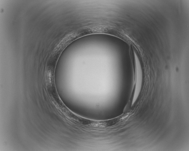 X0000053010117200507291718