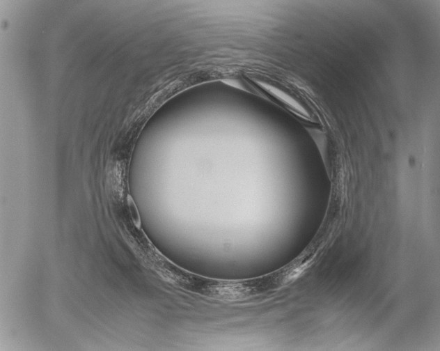 X0000053010121200507291718