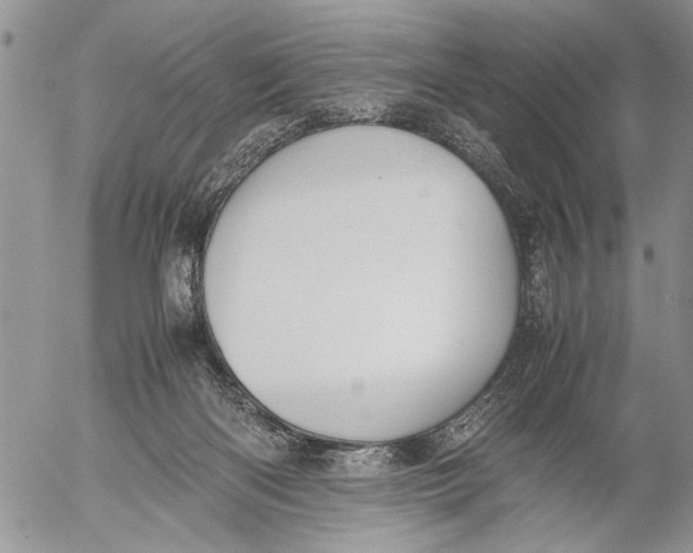 X0000053010122200507291718