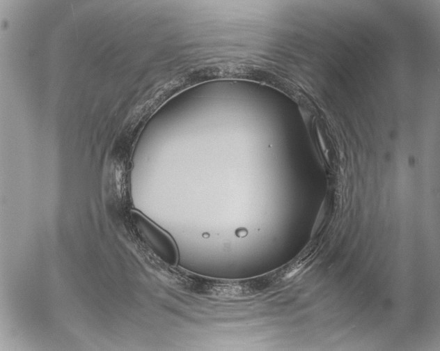 X0000053010123200507291717