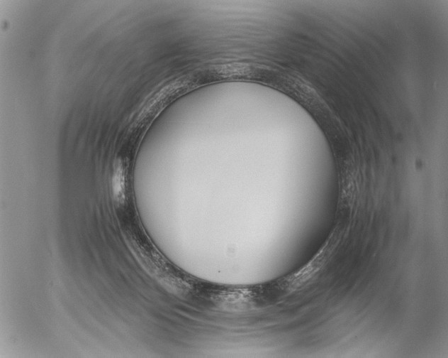 X0000053010124200507291717