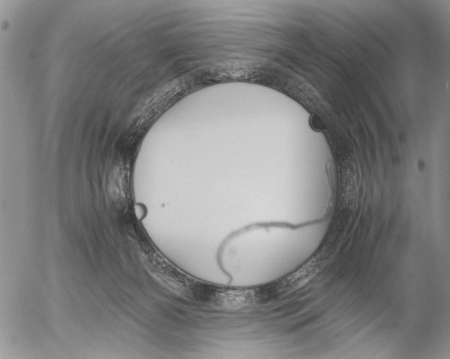 X0000053010126200507291717