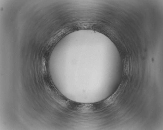 X0000053010128200507291717