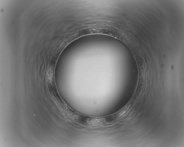 X0000053010129200507291717