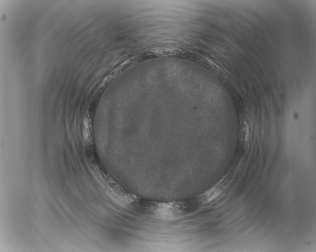 X0000053010130200507291717