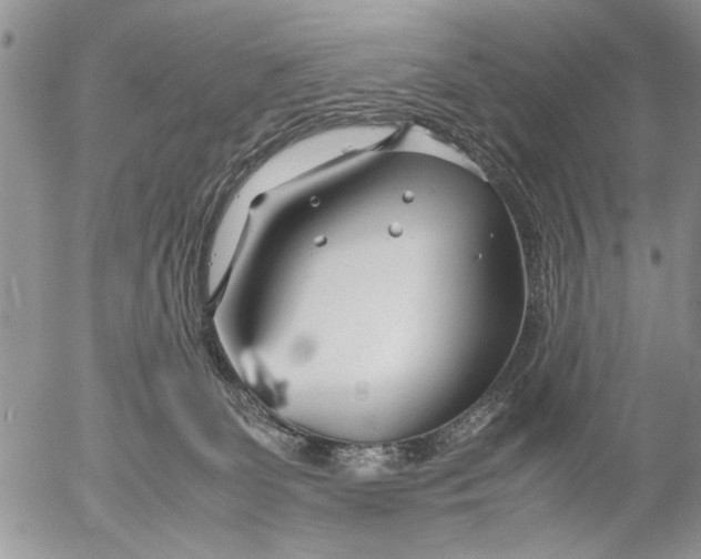 X0000053010131200507291717