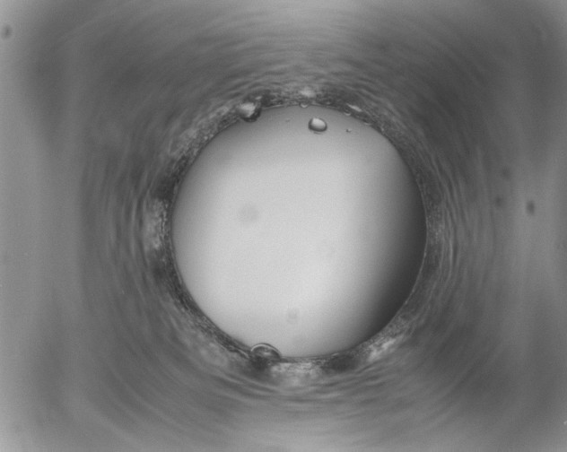 X0000053010133200507291717