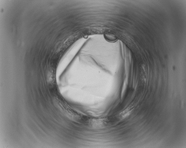 X0000053010134200507291717