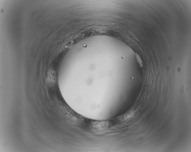 X0000053010135200507291717