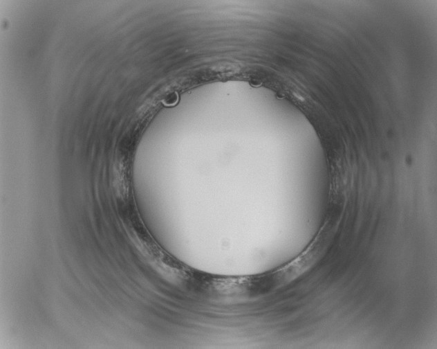 X0000053010136200507291717