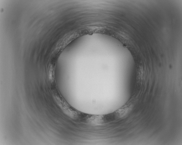 X0000053010138200507291717