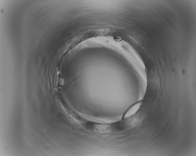 X0000053010139200507291717