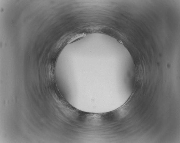 X0000053010140200507291717