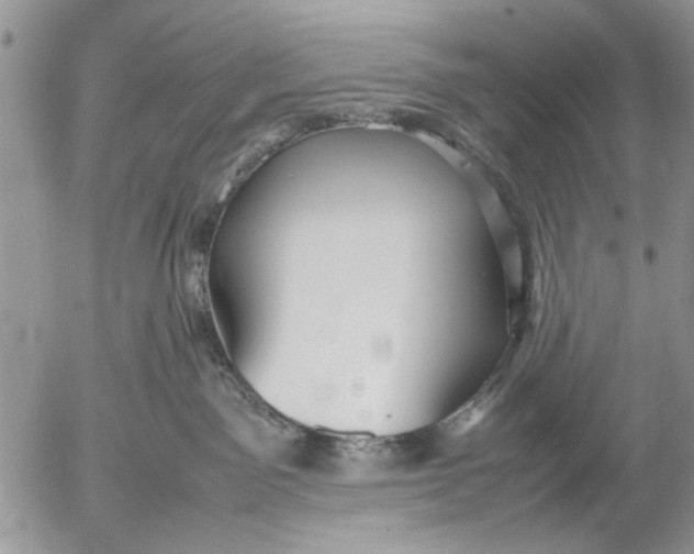 X0000053010141200507291717