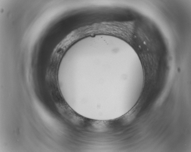 X0000053010142200507291717