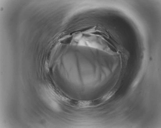 X0000053010143200507291717