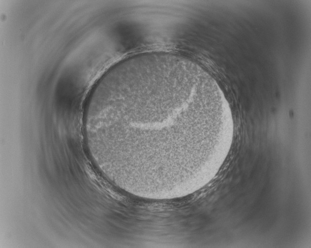 X0000053010146200507291716