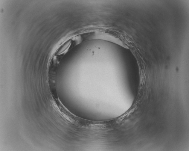 X0000053010150200507291716