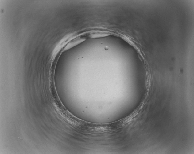 X0000053010151200507291716