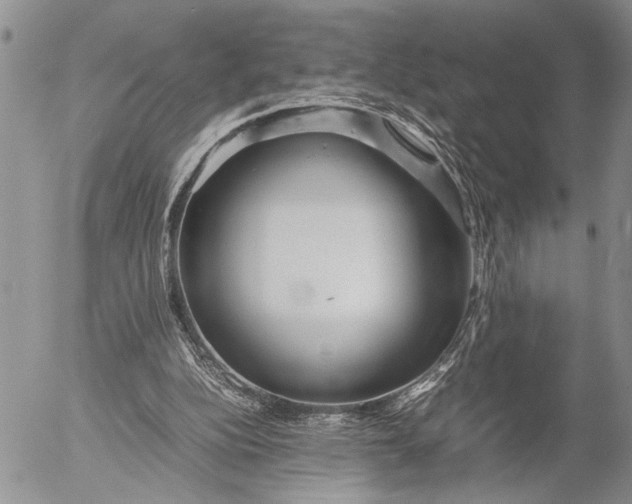 X0000053010152200507291716