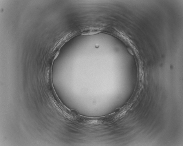 X0000053010153200507291716