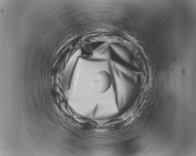 X0000053010154200507291716