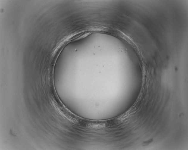 X0000053010155200507291717