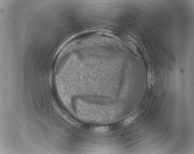 X0000053010156200507291717