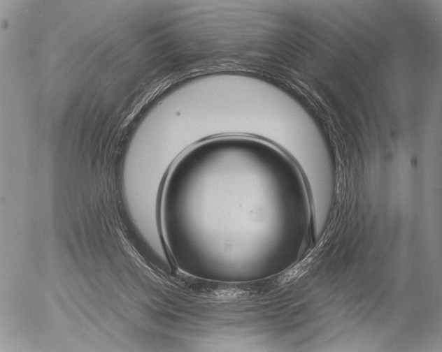 X0000053010158200507291717