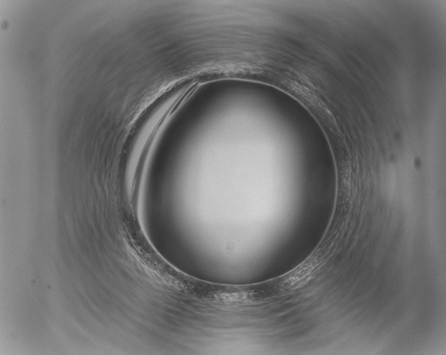 X0000053010160200507291717