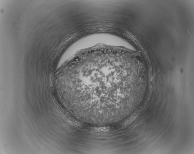 X0000053010161200507291717