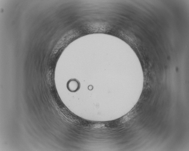 X0000053010162200507291717