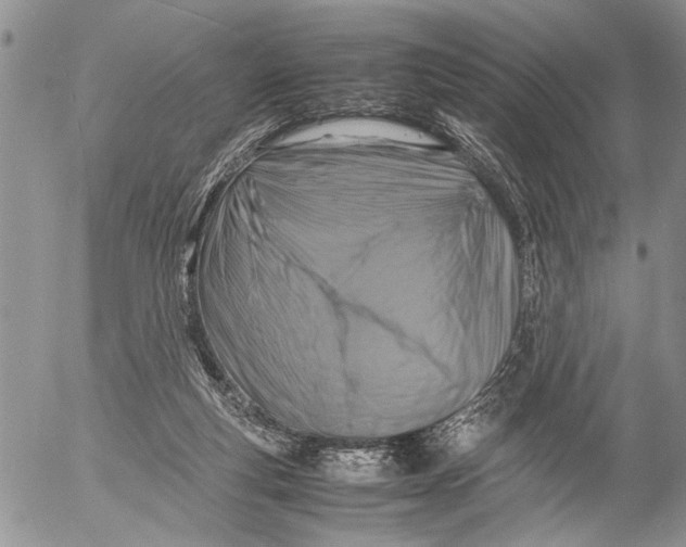 X0000053010163200507291717