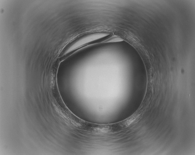 X0000053010164200507291717