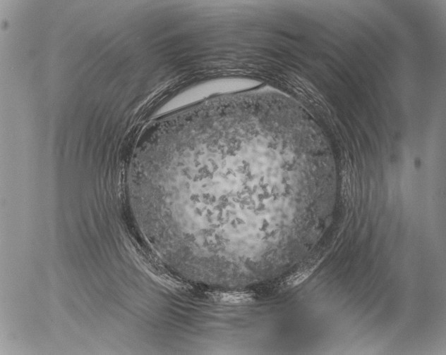 X0000053010165200507291717