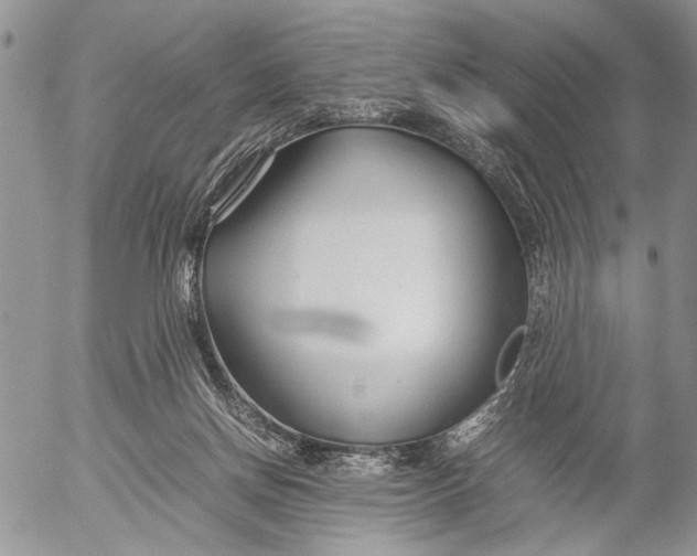 X0000053010166200507291717