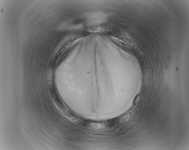 X0000053010167200507291717