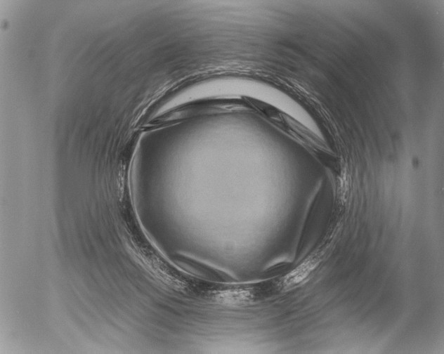 X0000053010168200507291717