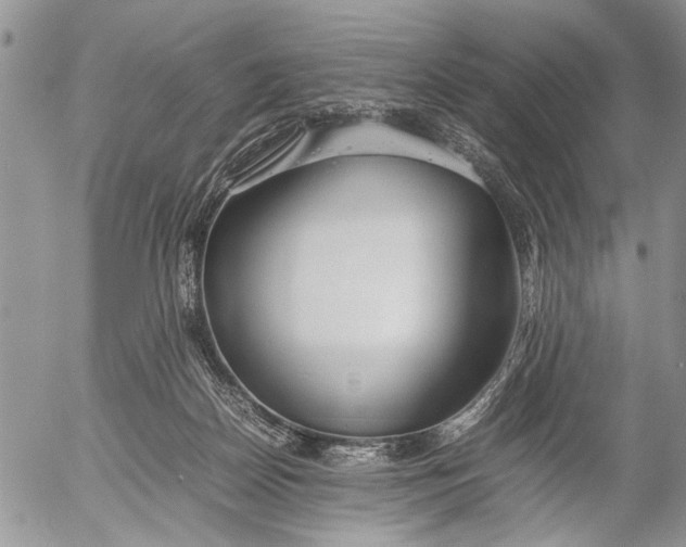 X0000053010170200507291717