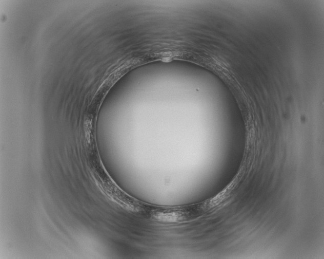 X0000053010171200507291717