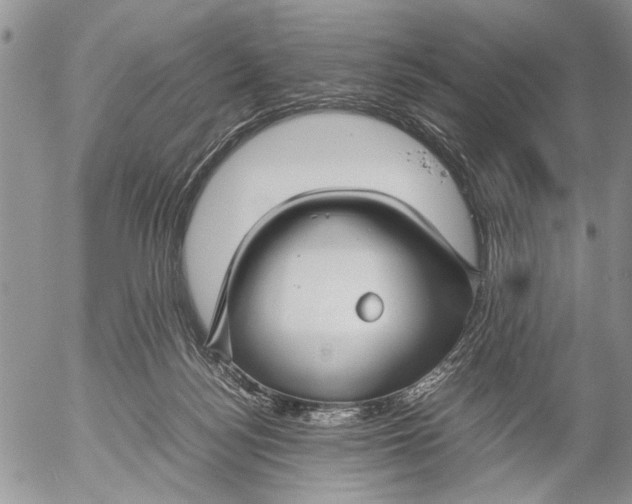 X0000053010172200507291717