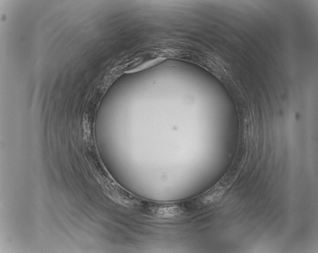 X0000053010173200507291717